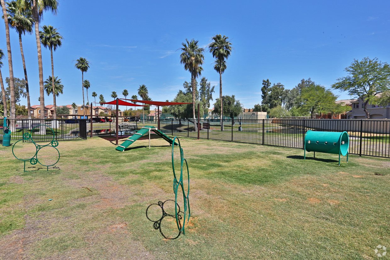 Photos and Video of Autumn Creek Apartments in Chandler, AZ